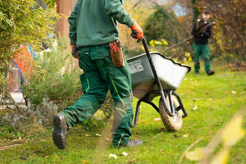 Lawn Care